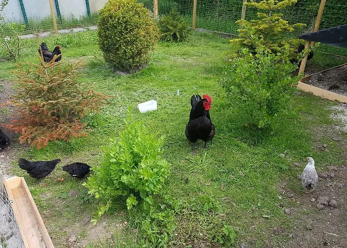 Cafe Hausnordlicht - 2 Lägenhet *